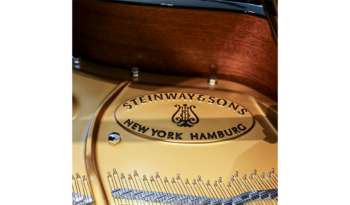 Steinway & Sons A-188 voll